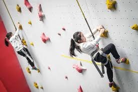 埃基蒂克助攻涉手球争议，主裁观看VAR核查